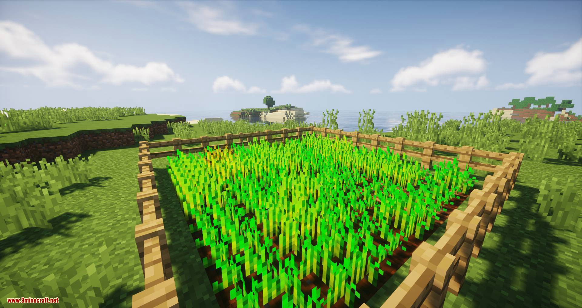 Biome Growth Controls mod for minecraft 06