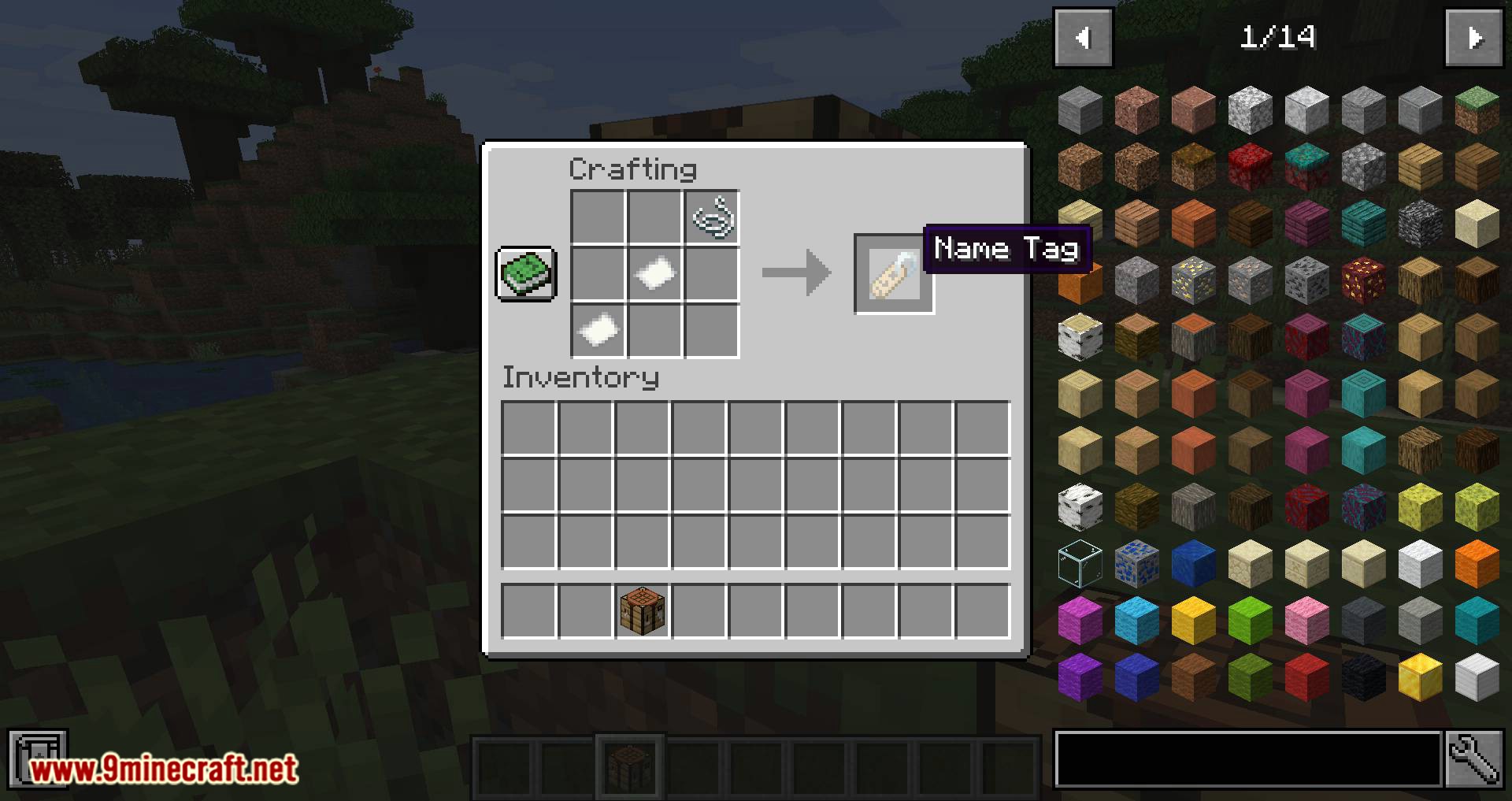 Name Tag Tweaks mod for minecraft 02