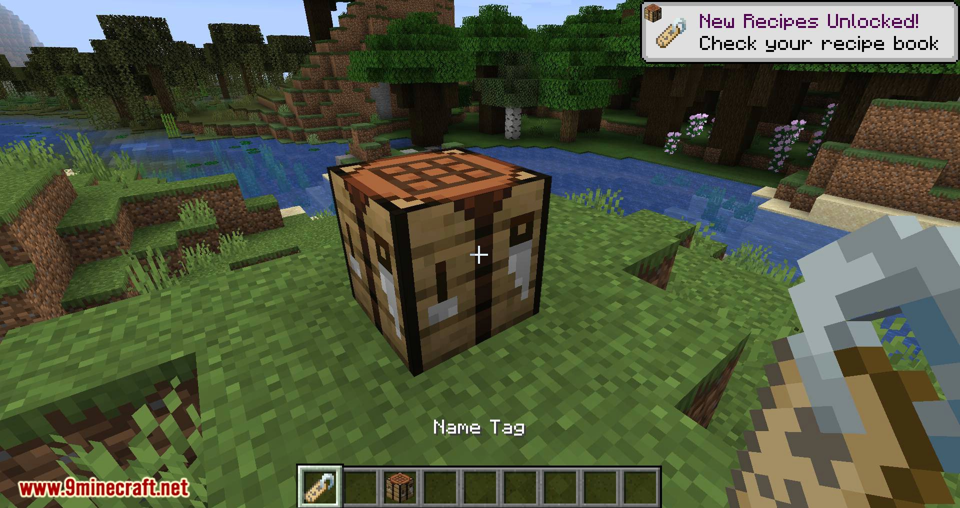 Name Tag Tweaks mod for minecraft 03