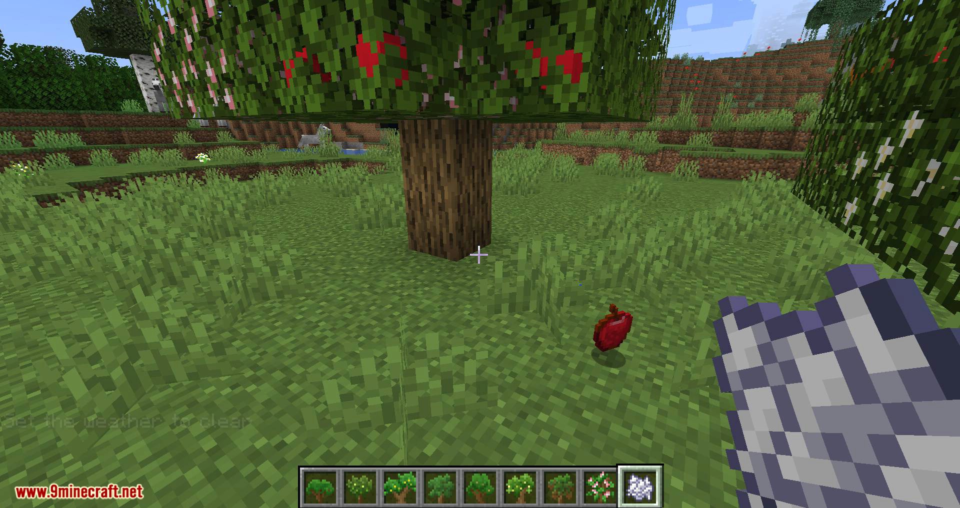 Fruit Trees mod for minecraft 09