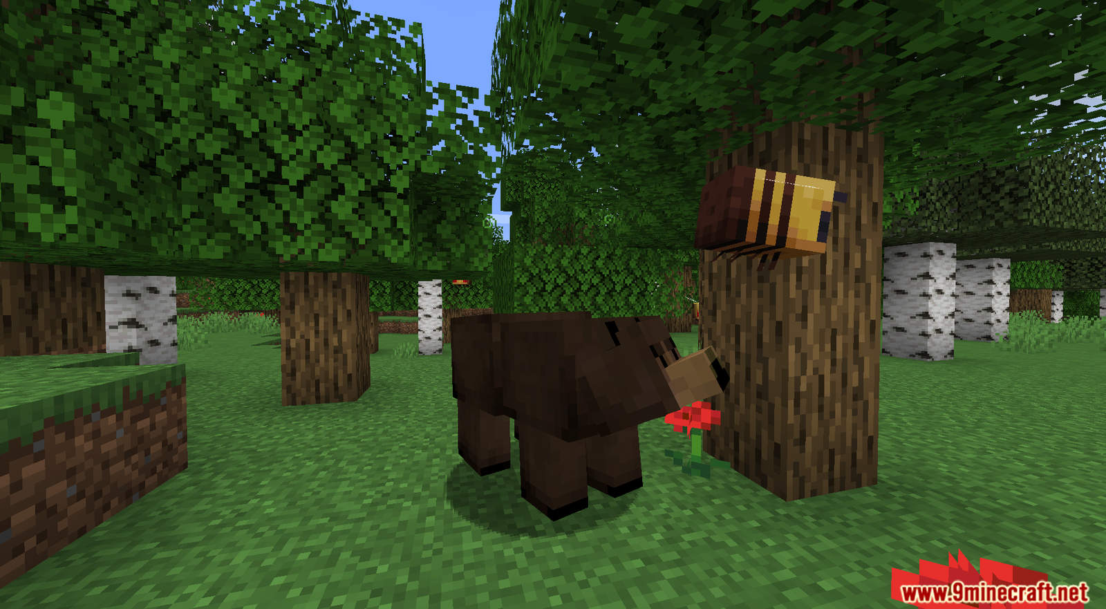 Grizzly Bear mod for Minecraft (9)