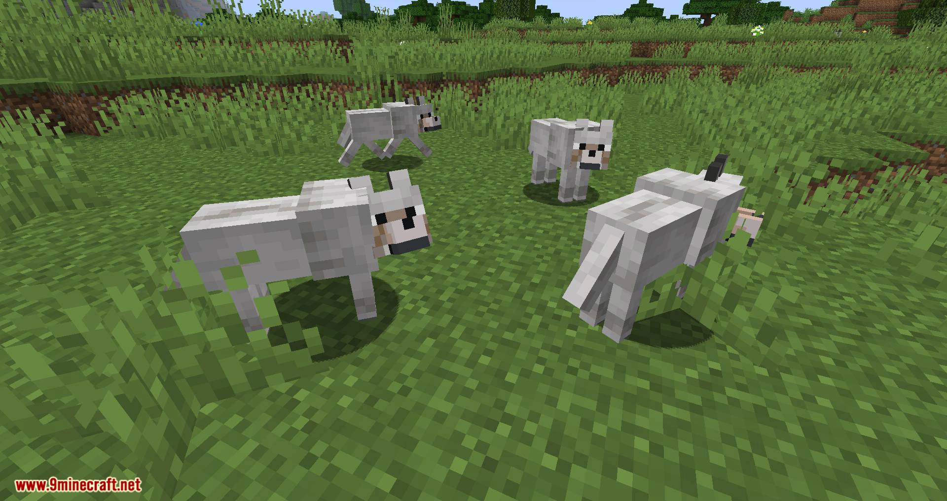 Let Sleeping Dogs Lie mod for minecraft 02