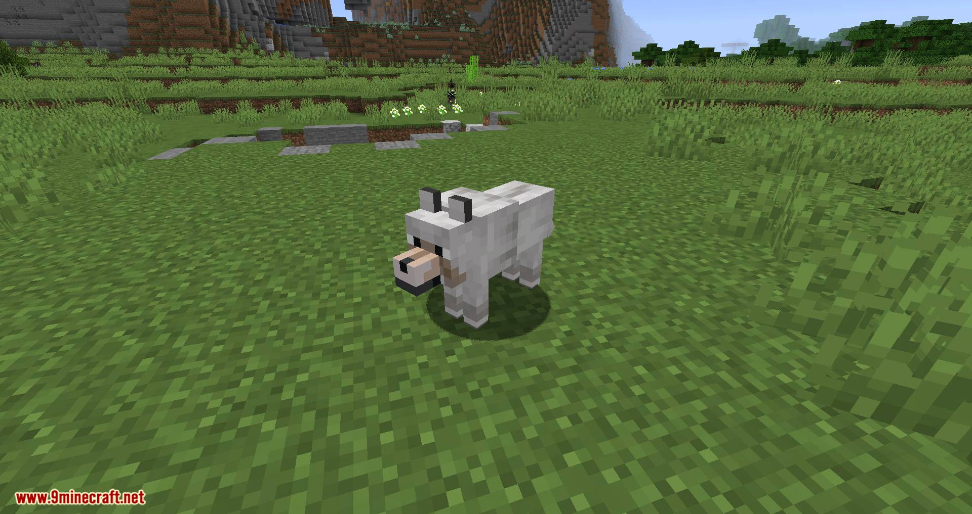 Let Sleeping Dogs Lie mod for minecraft 01